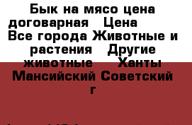 Бык на мясо цена договарная › Цена ­ 300 - Все города Животные и растения » Другие животные   . Ханты-Мансийский,Советский г.